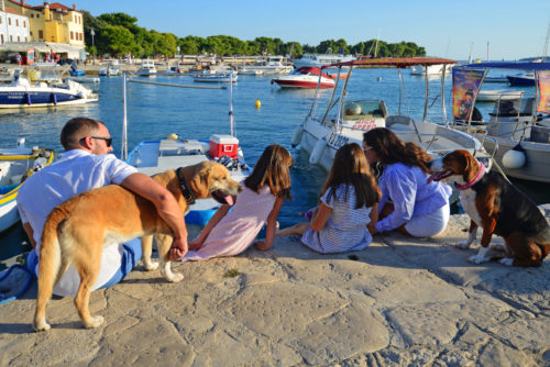 Hinweise und Tipps, wenn Sie mit Hund in den Urlaub fahren wollen