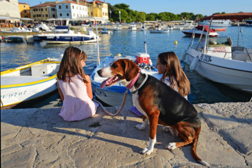 Pet friendly excursions and attractions